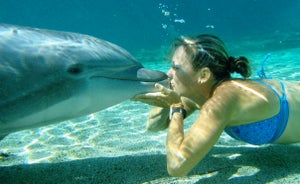 Bree Wee Kisses A Dolphin Wee will race in this year's Ironman World Championship event.