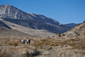 altitude Training at altitude has become a trend among endurance athletes.