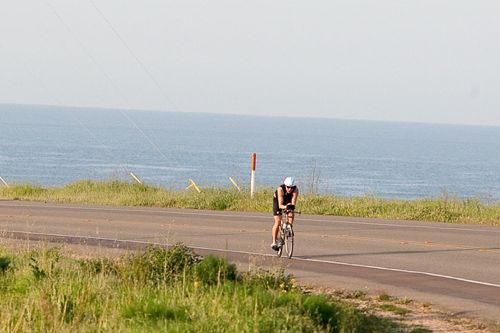 2010