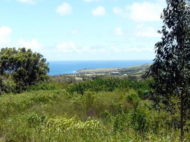Xterra