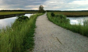 rev3maine