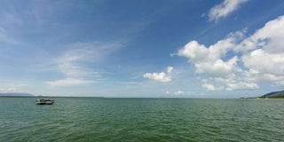 Cairns swim course