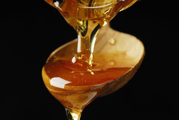 Photo: Shutterstock.com