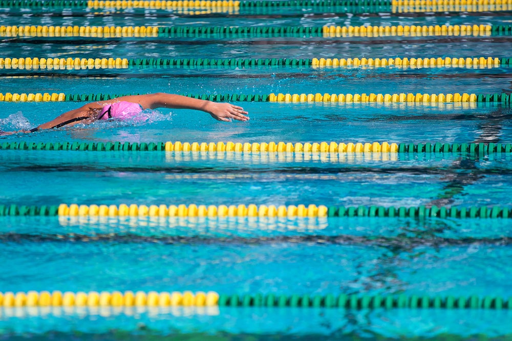 Photo: Shutterstock.com