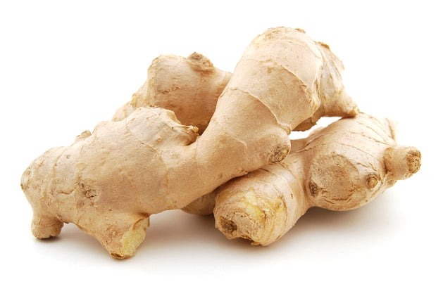 Photo: Shutterstock.com