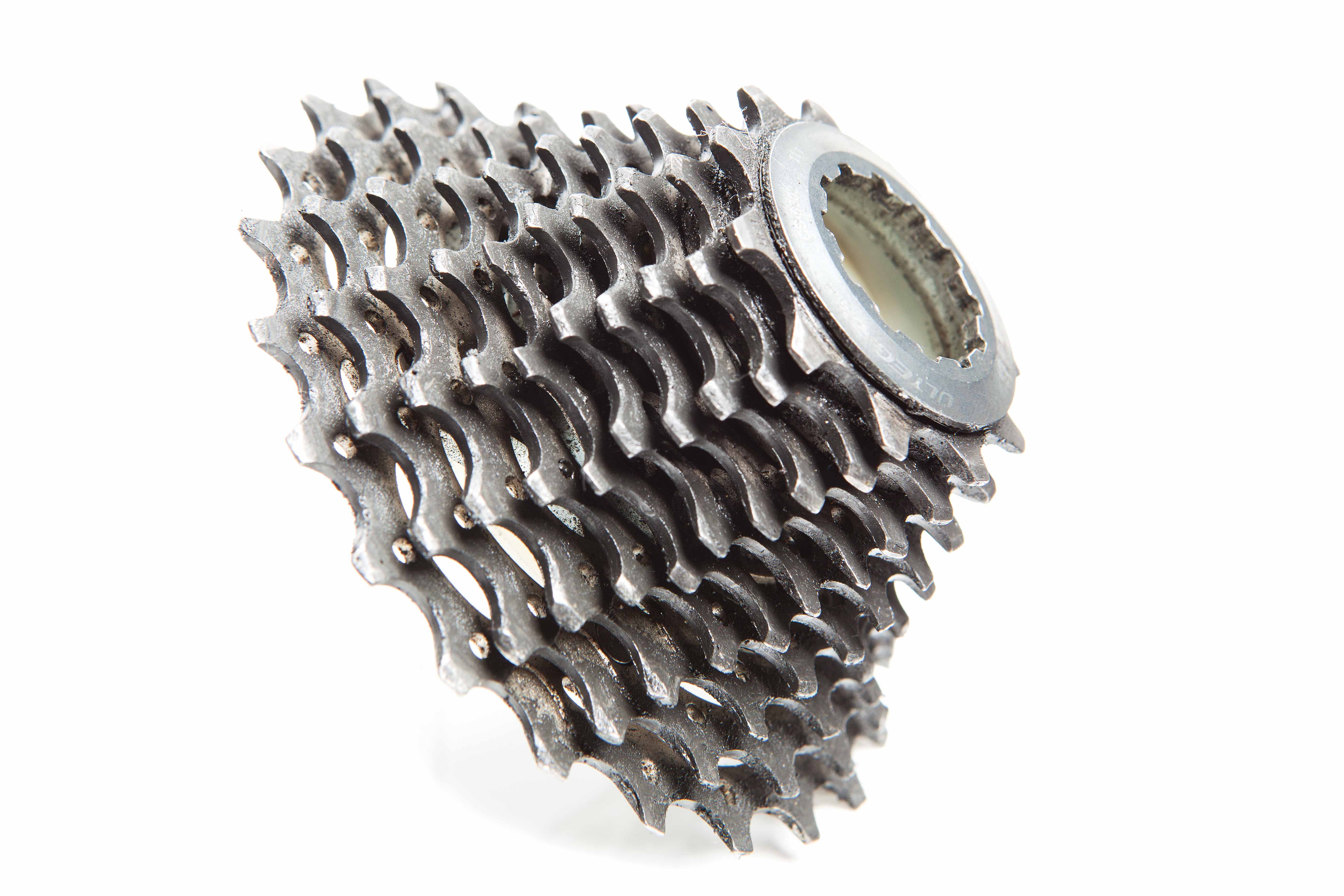 Photo: John David Becker