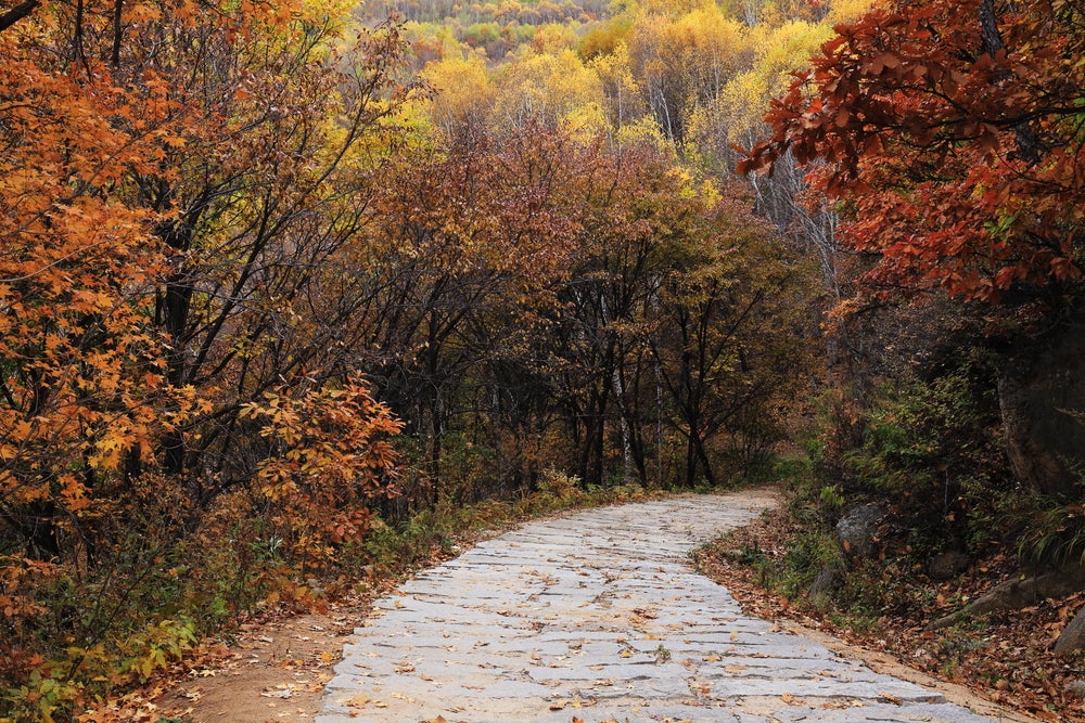 Photo: <a href=http://shutterstock.com>Shutterstock.com</a>