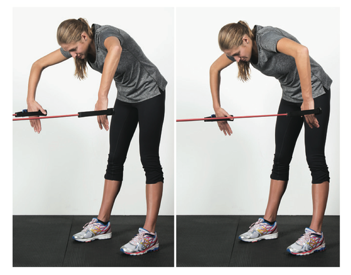 Stretch Cord