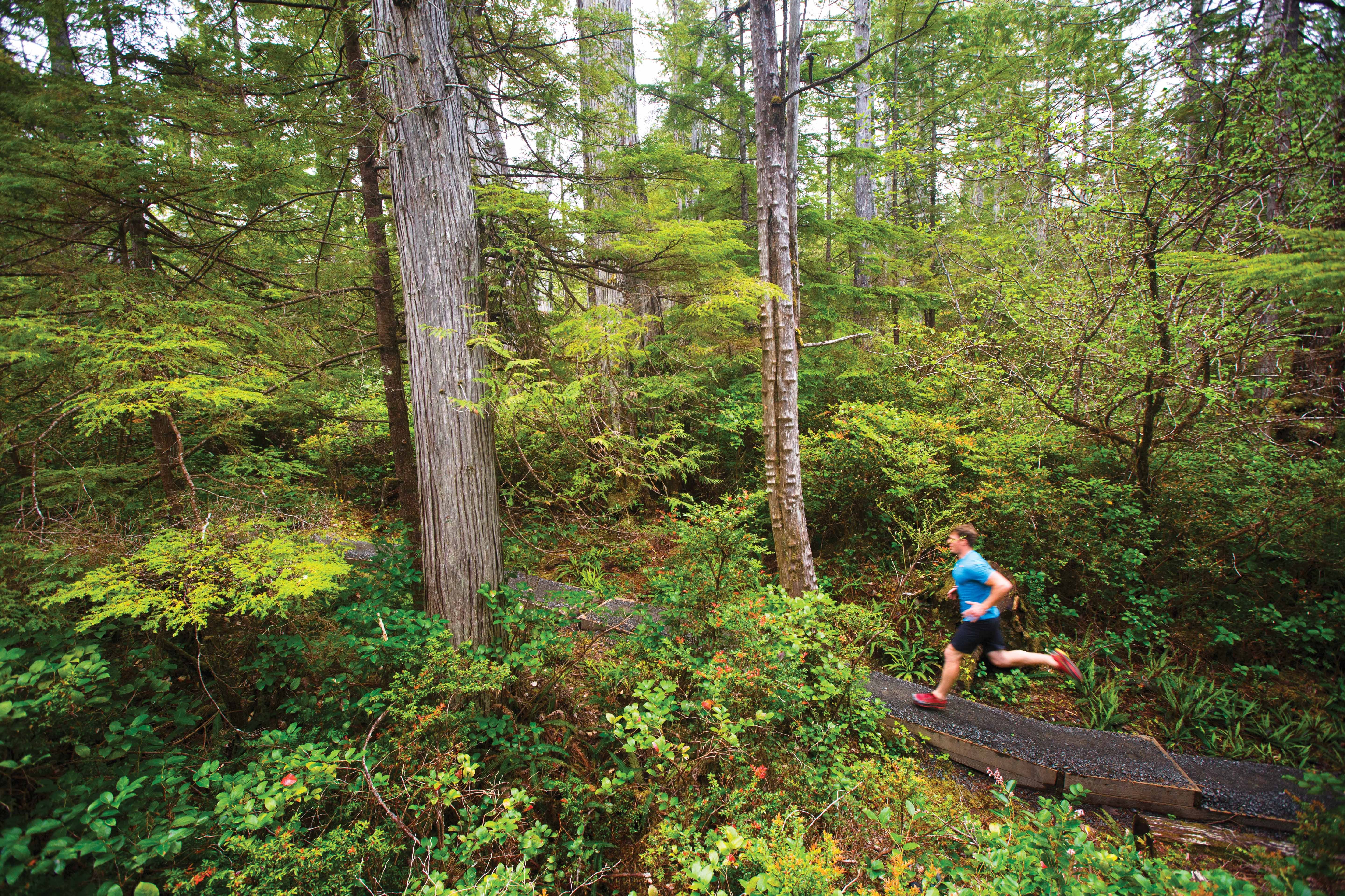 Photo: Ben Herndon/Tandemstock