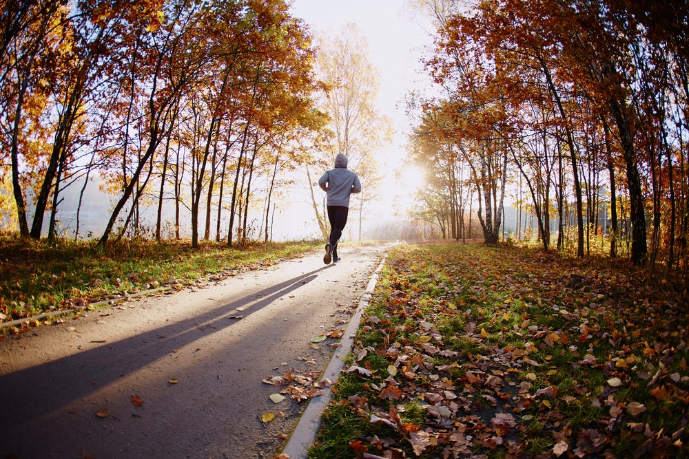 Photo: Shutterstock.com