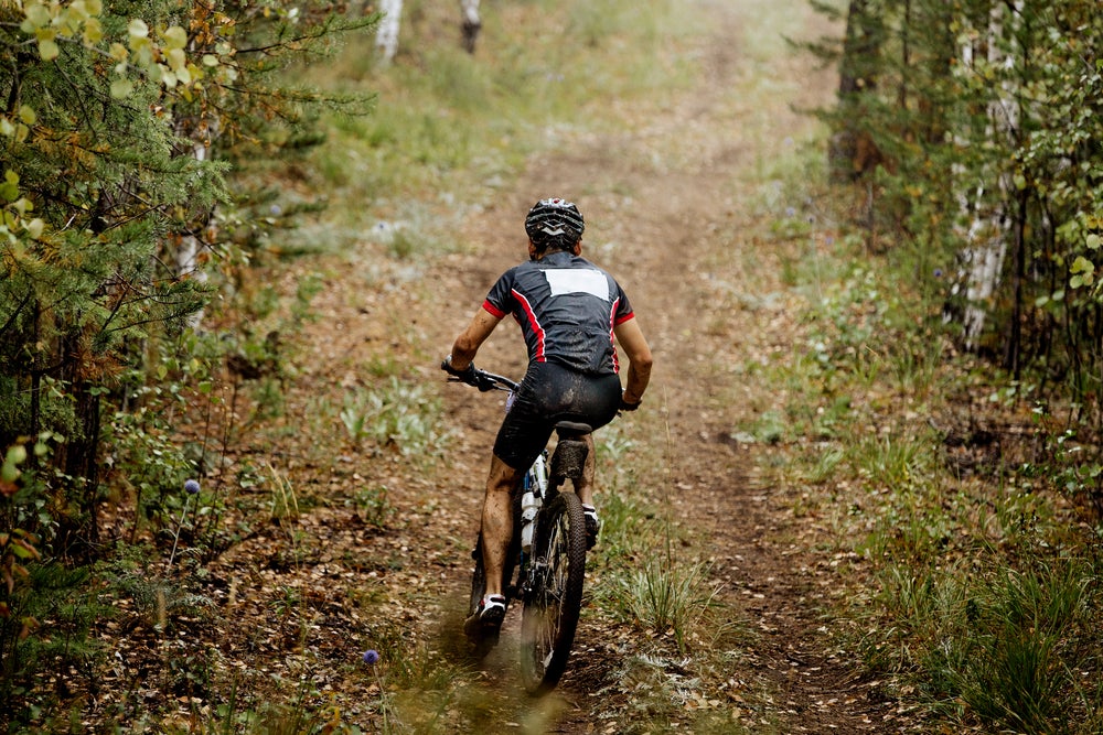 Photo: Shutterstock.com