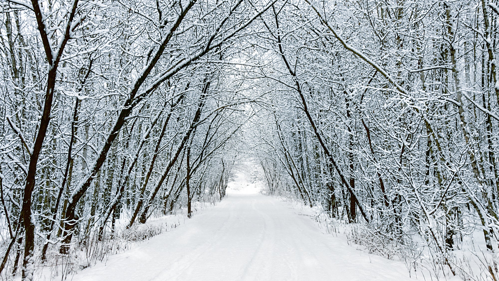 winter trail running