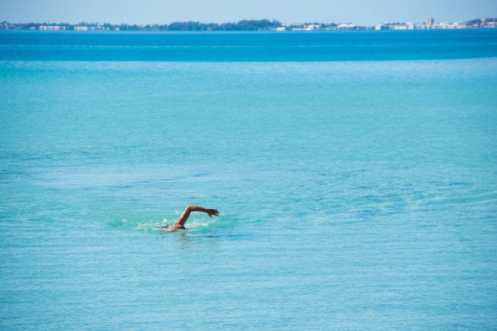 Photo: <a href=https://twitter.com/WTSBermuda/status/957763496632111107>@WTSBermuda</a>