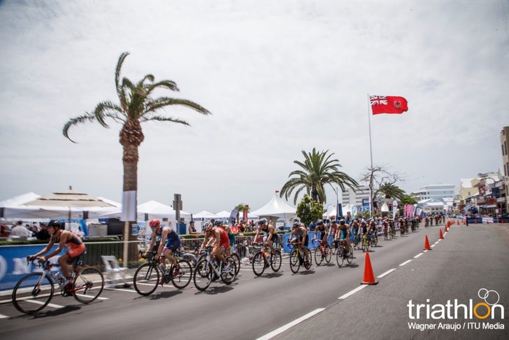 2018wtsbermuda_140302__wag67032018