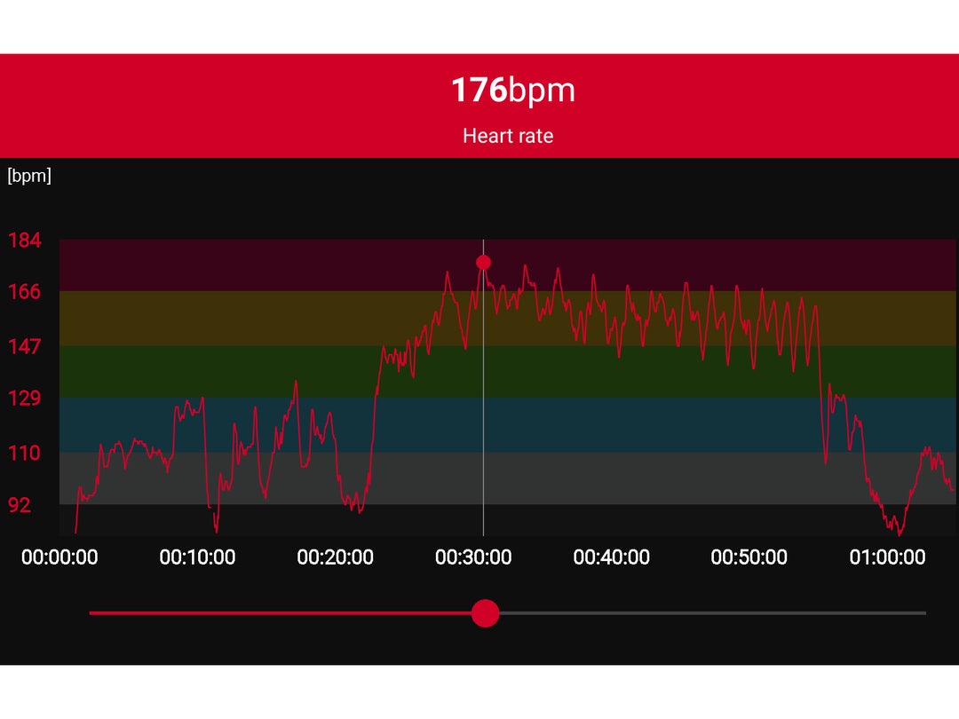 polar h10 heart rate monitor size chart