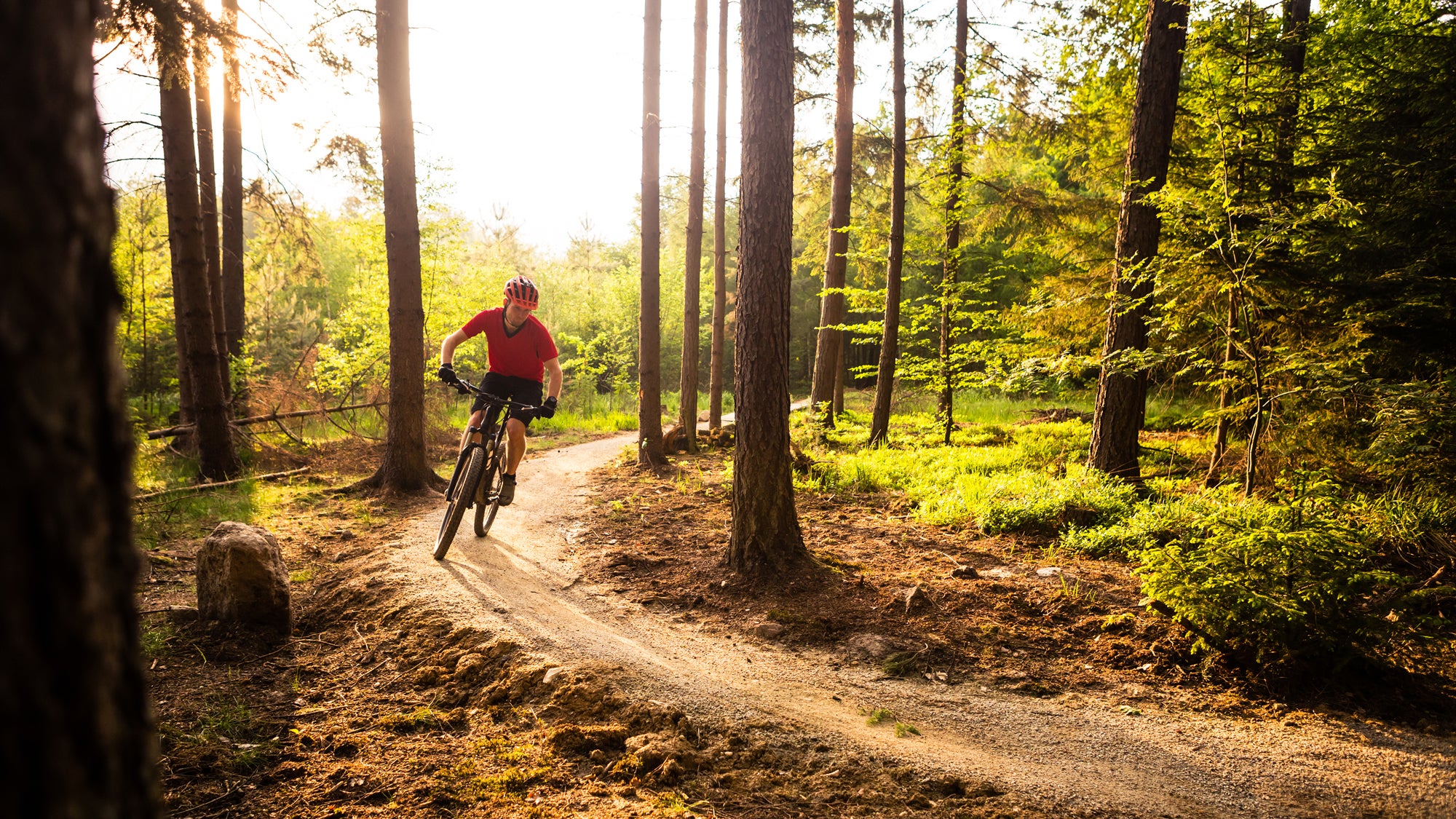 Begroeten Kruis aan vreugde Mountain Biking for Beginners: Here's Where to Start – Triathlete