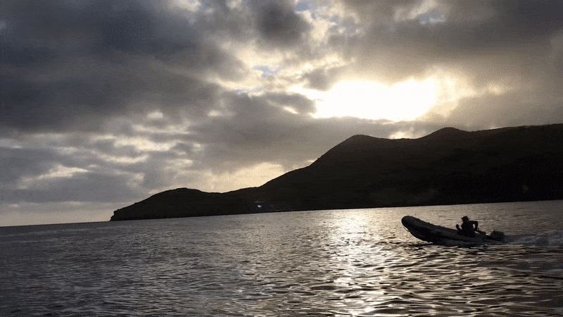 hoka swimrun
