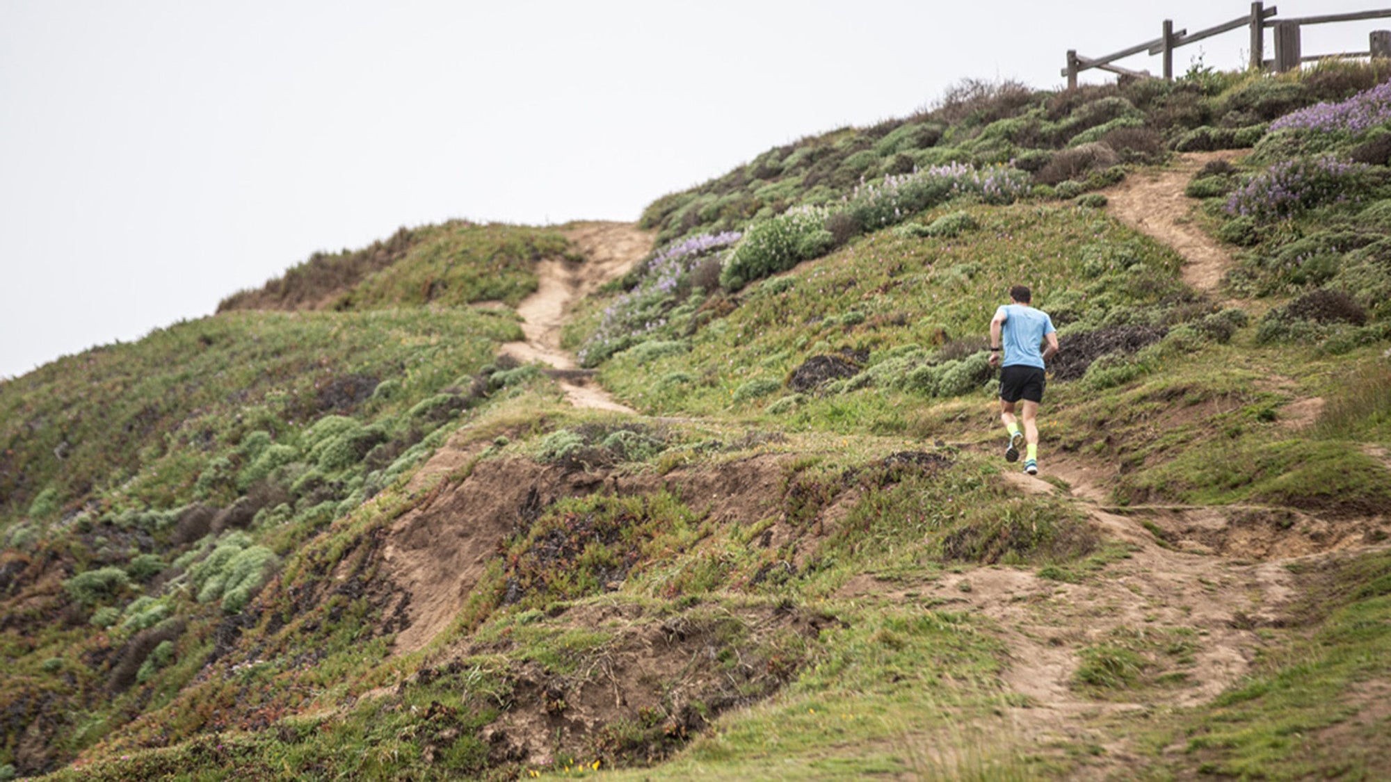 Photo: Danny W. Images