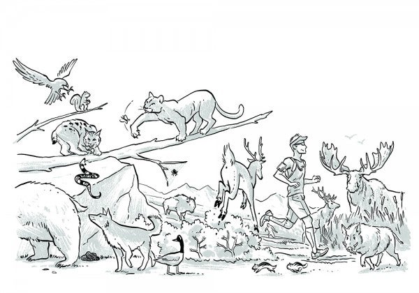 All Illustrations by Charlie Layton