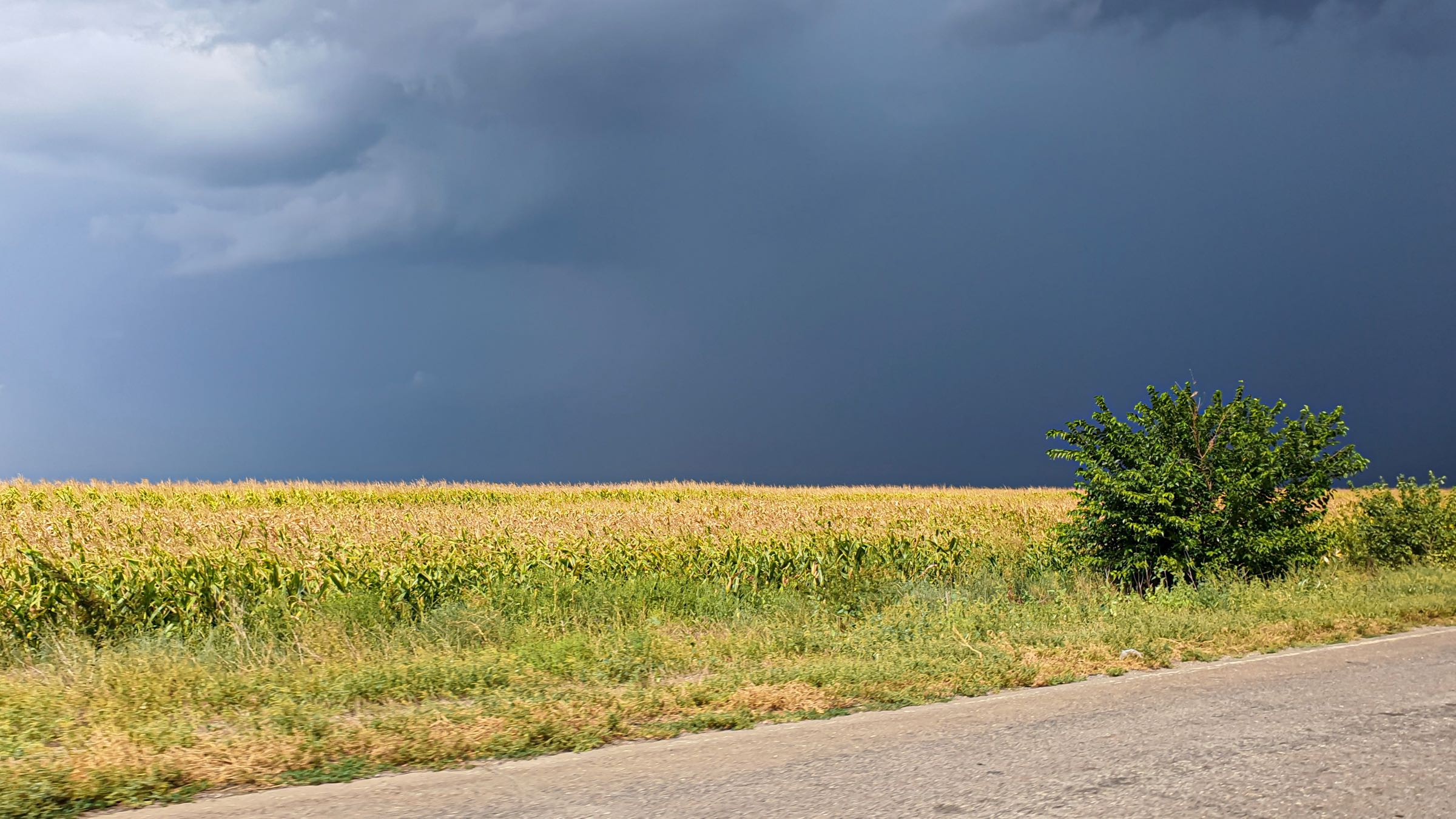 Understanding Thunderstorm Forecast