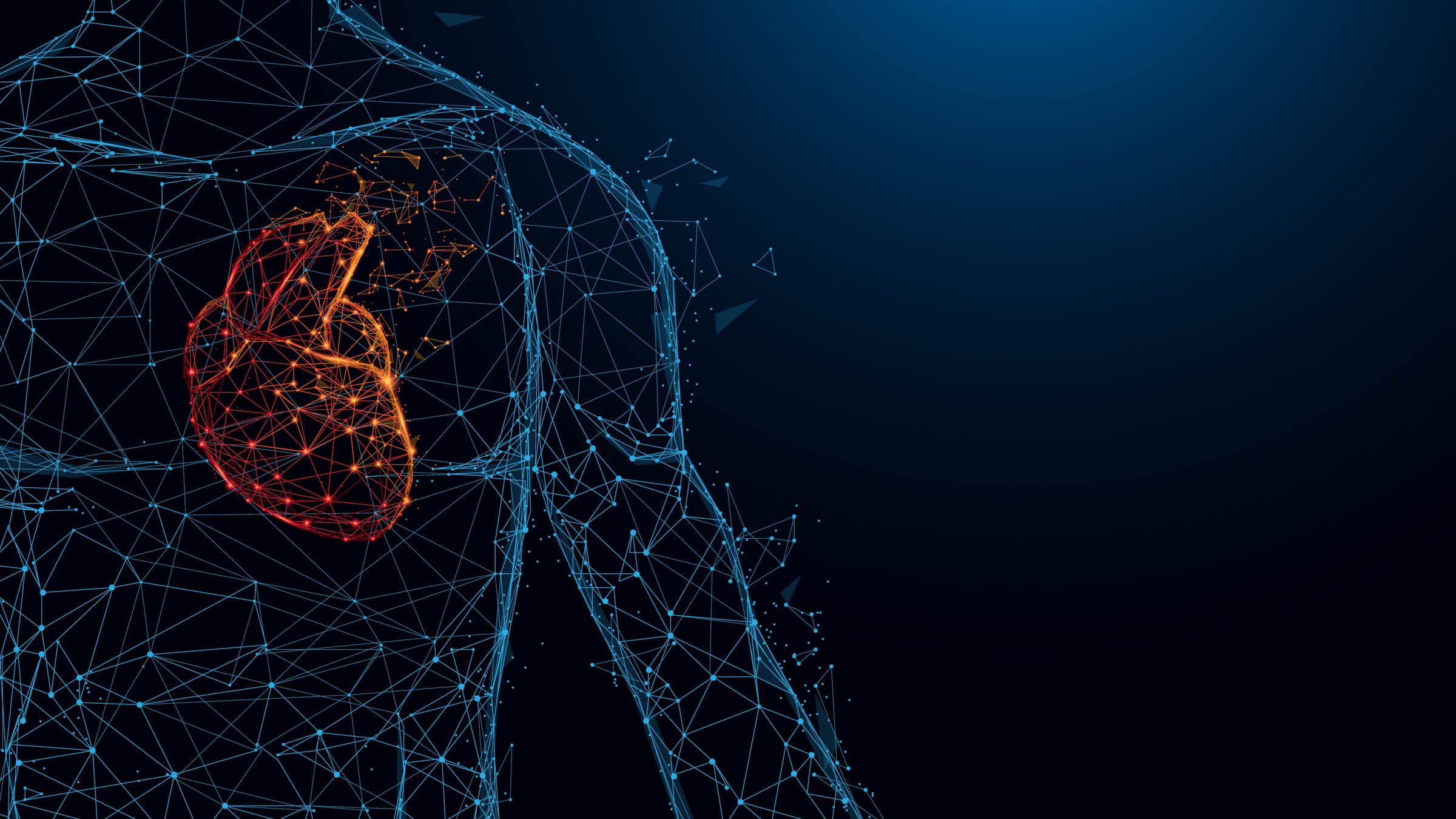 Understanding the Athlete's Heart Triathlete