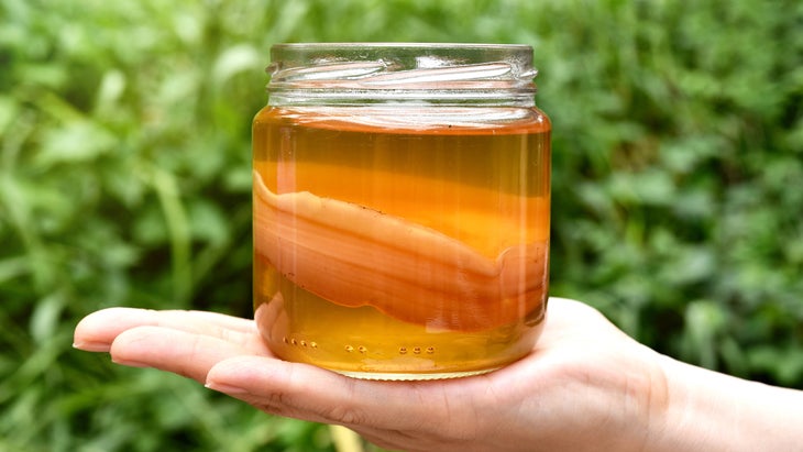 Hand holding a jar of kombucha with the SCOBY inside