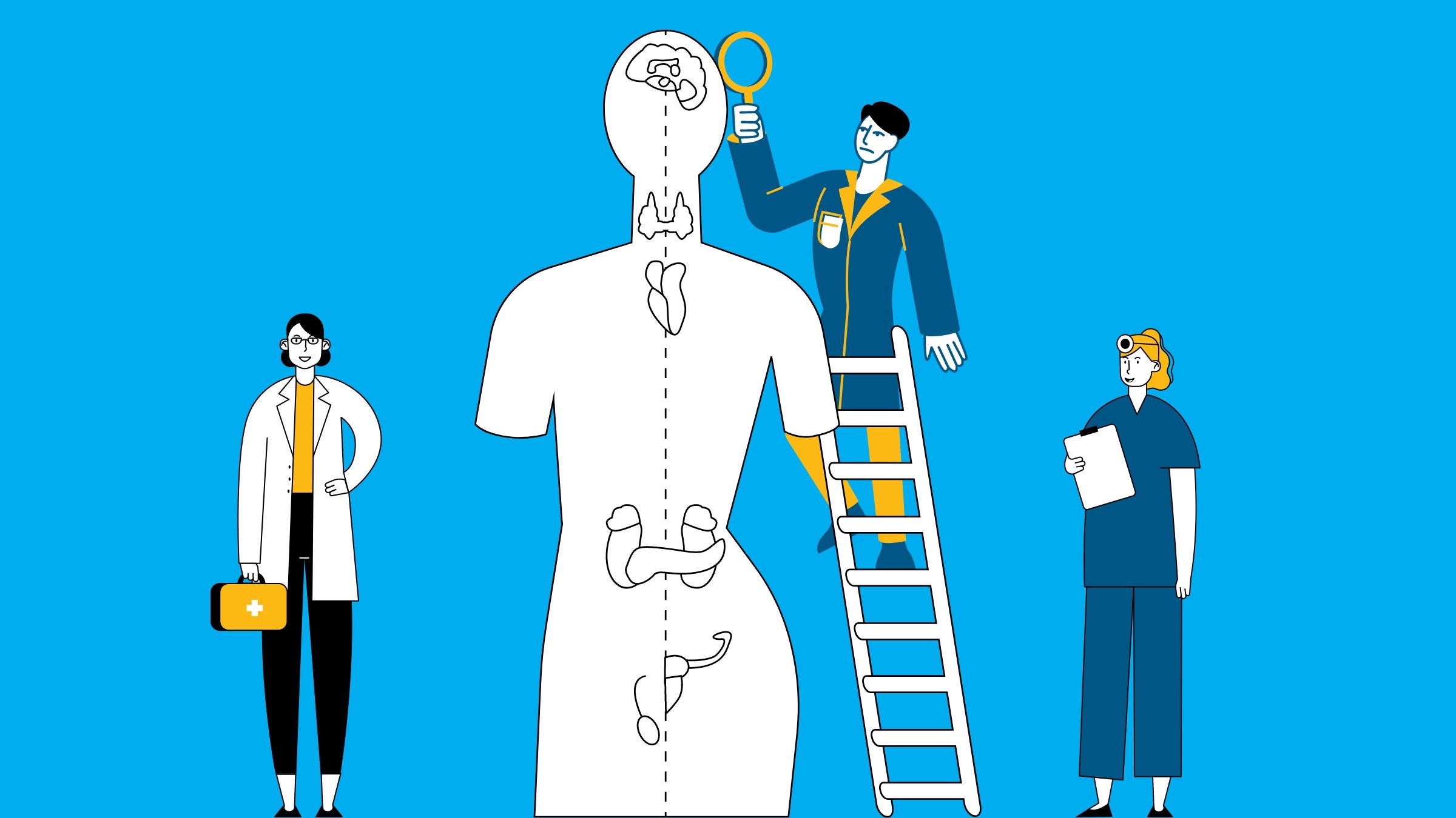 An illustration of experts examining a triathlete's endocrine system.