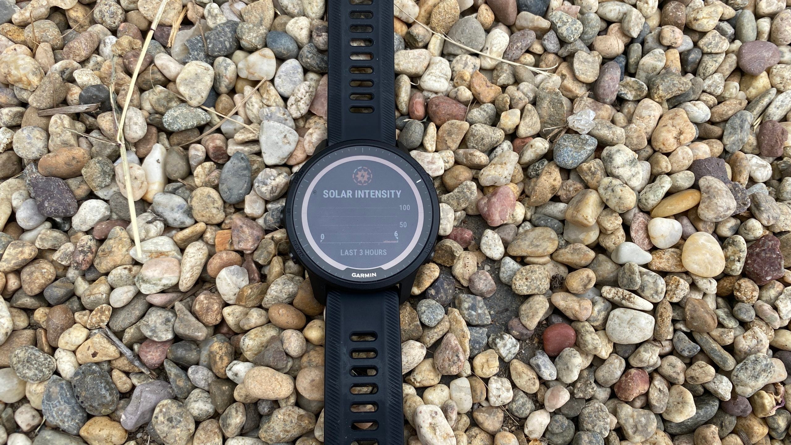 Review: Garmin 955 Smartwatch – Triathlete