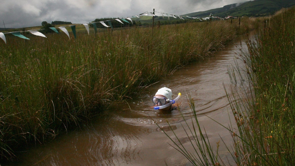 Triathlon’s <i>Other</i> World Records