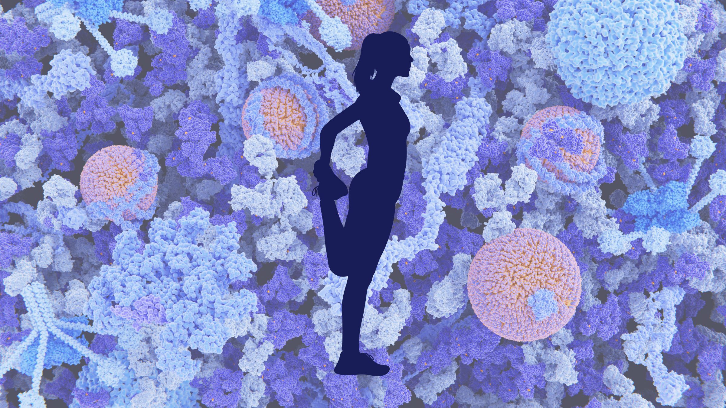 Female Runners and Ferritin