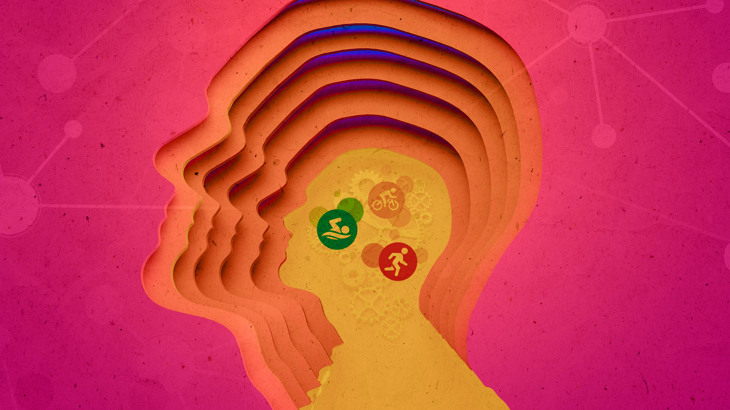 An illustration depicting how triathlon training exercise changes the brain.