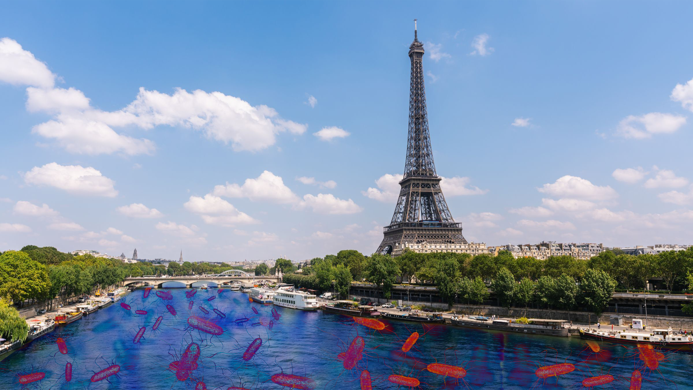 Will the Seine River be clean enough for swimming before this year's Olympic and Paralympic triathlon races?