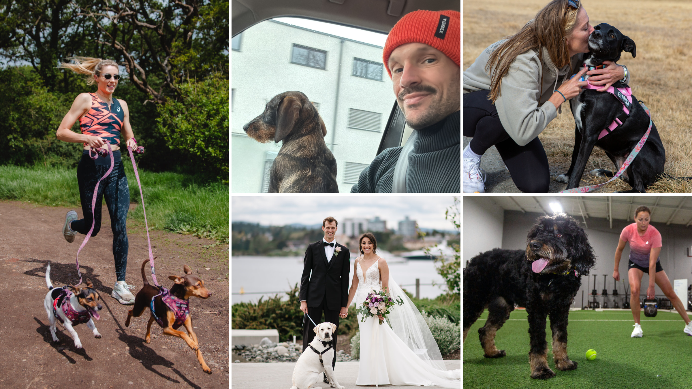 The Top Triathlon Dogs From the Sport’s Fastest Pros