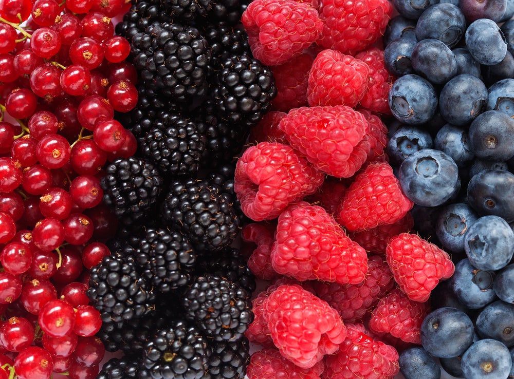Photo: Shutterstock.com