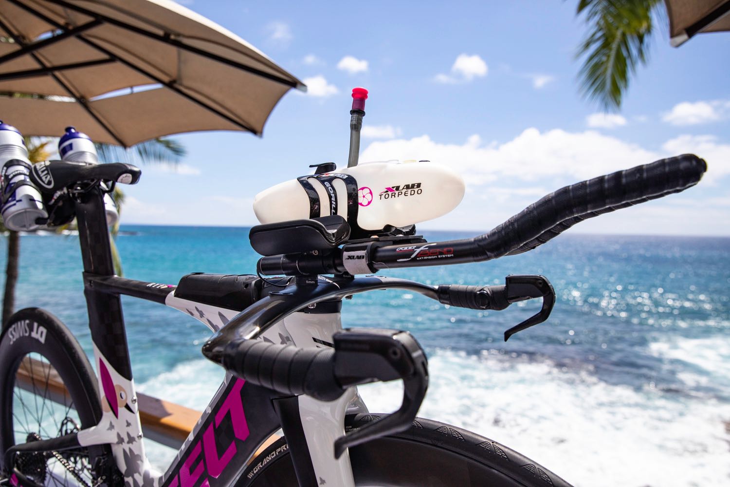 daniela ryf bike