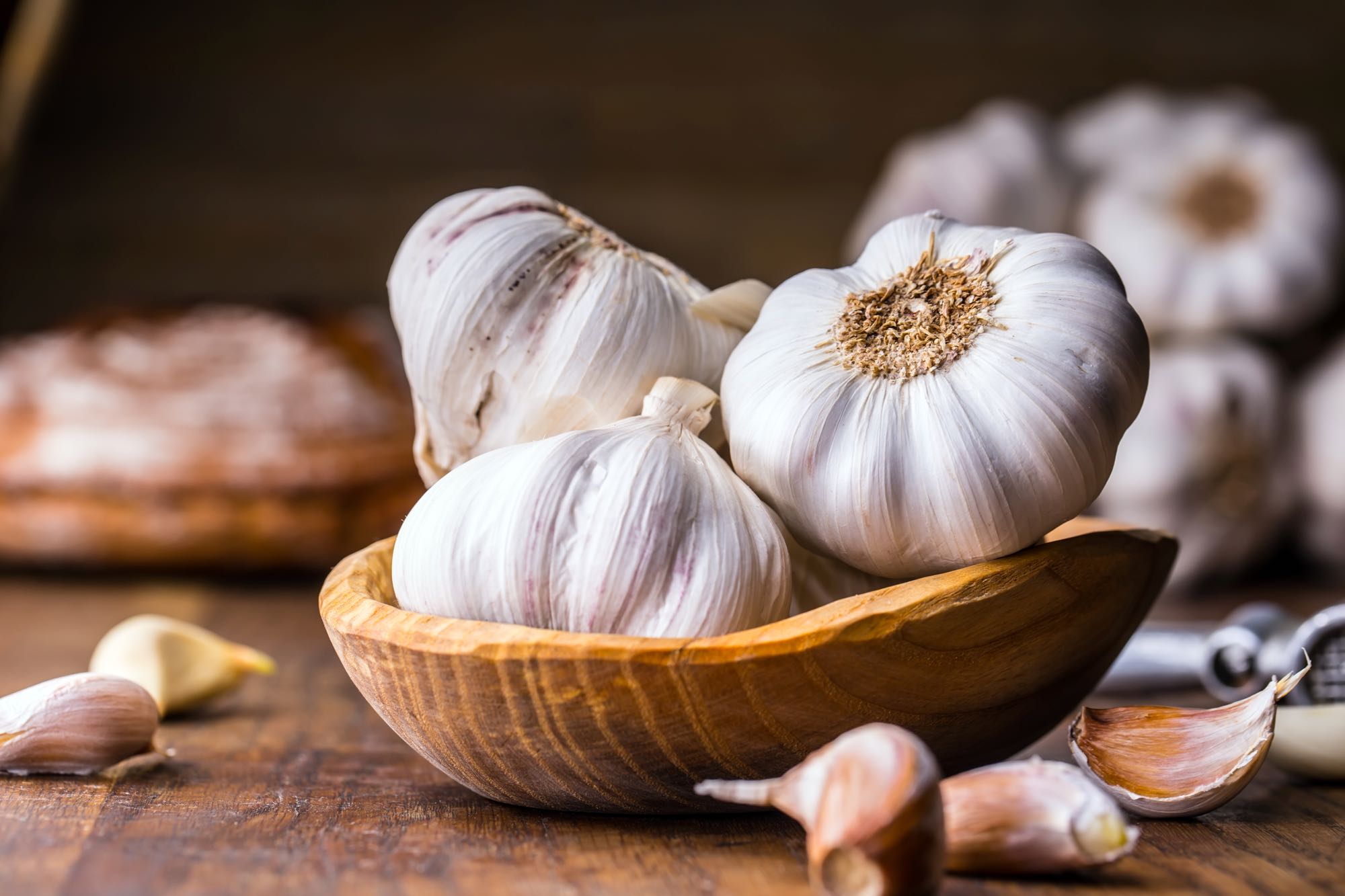 Garlic bulbs