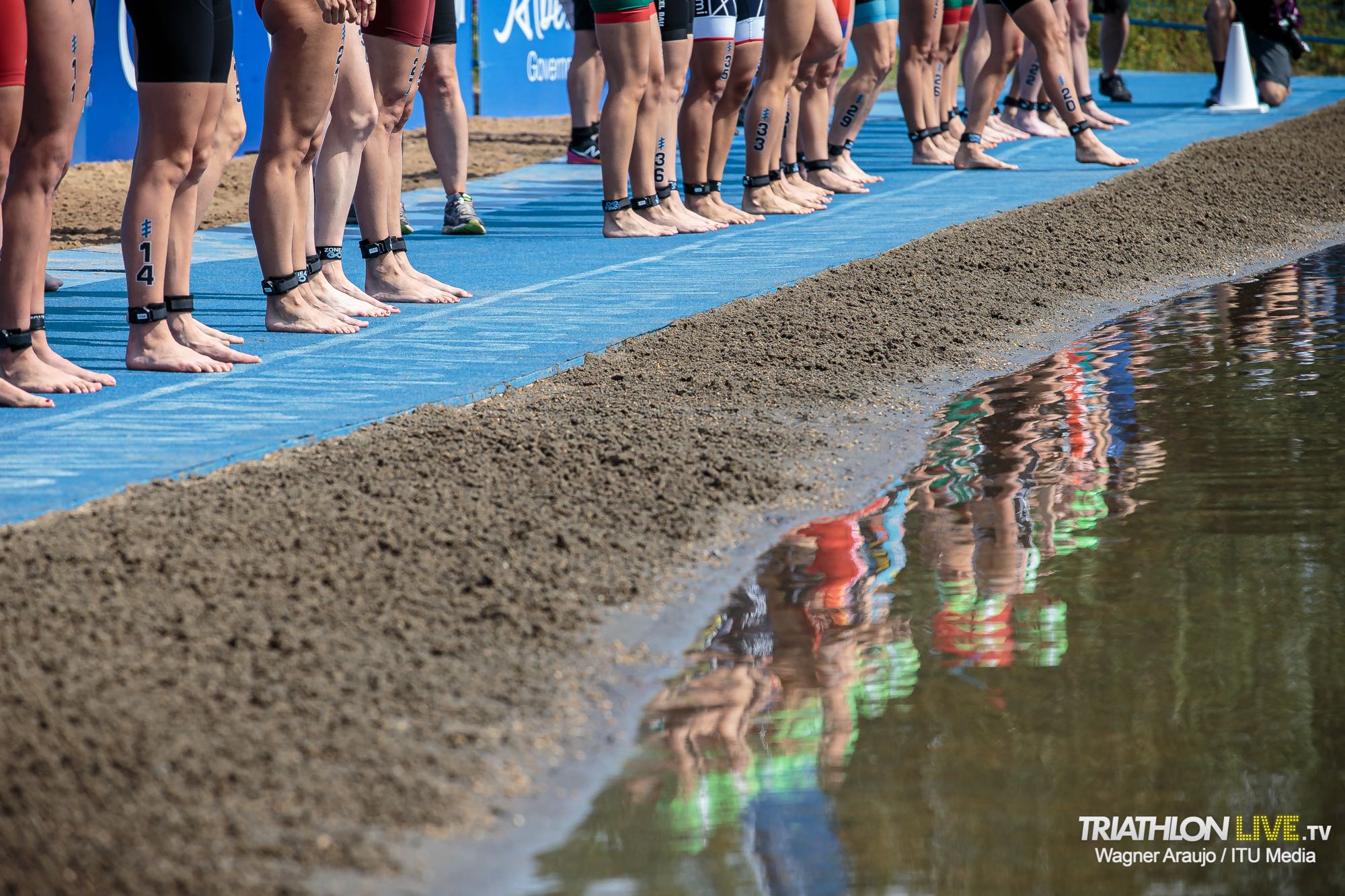 2019wtsedmonton153446__wag7572