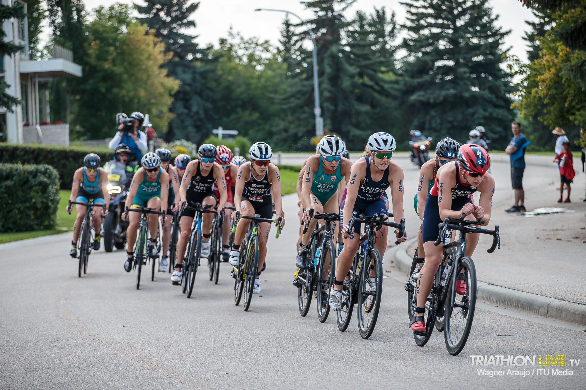 2019wtsedmonton160336__wag7975