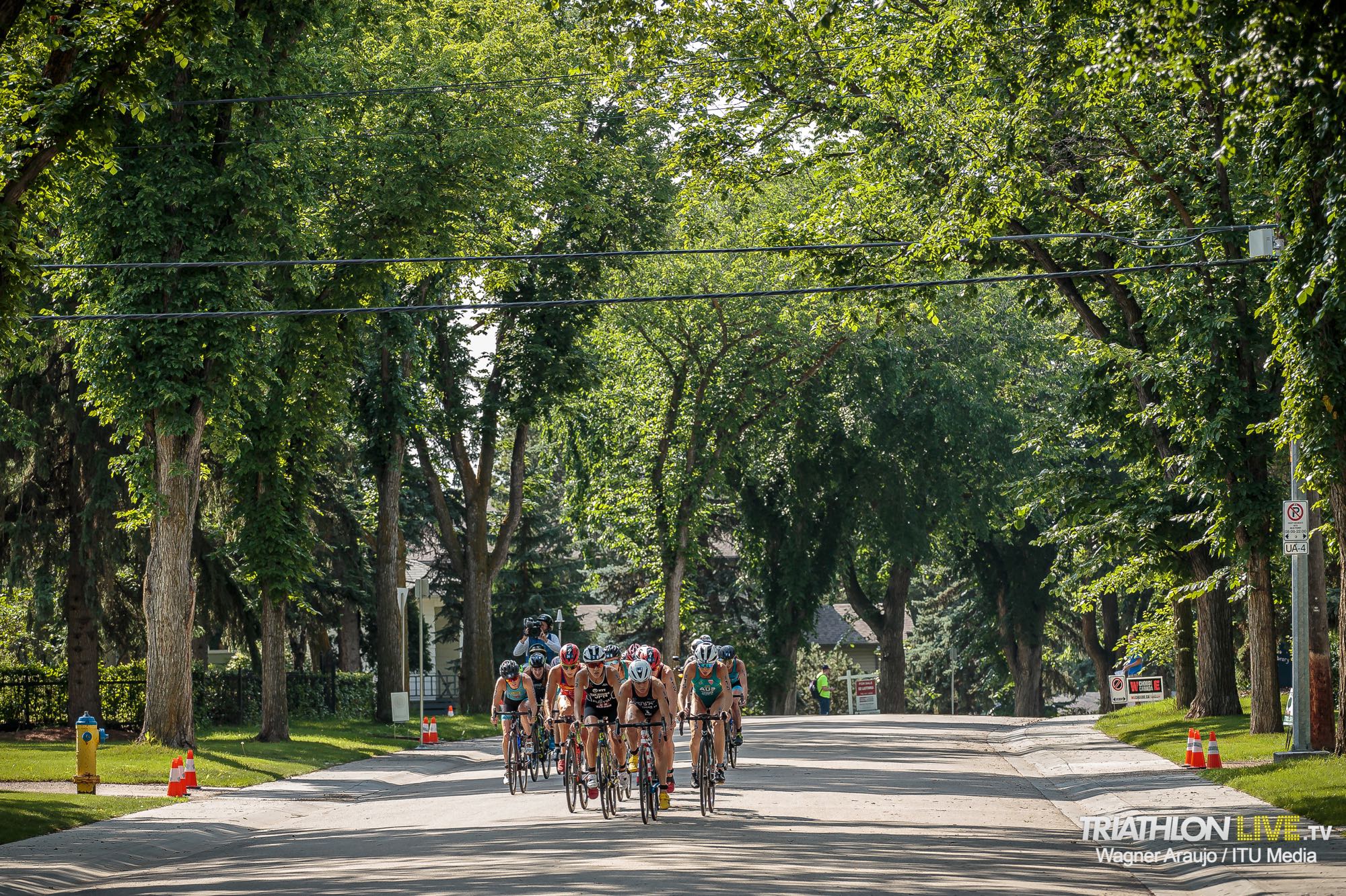 2019wtsedmonton161129__wag8064