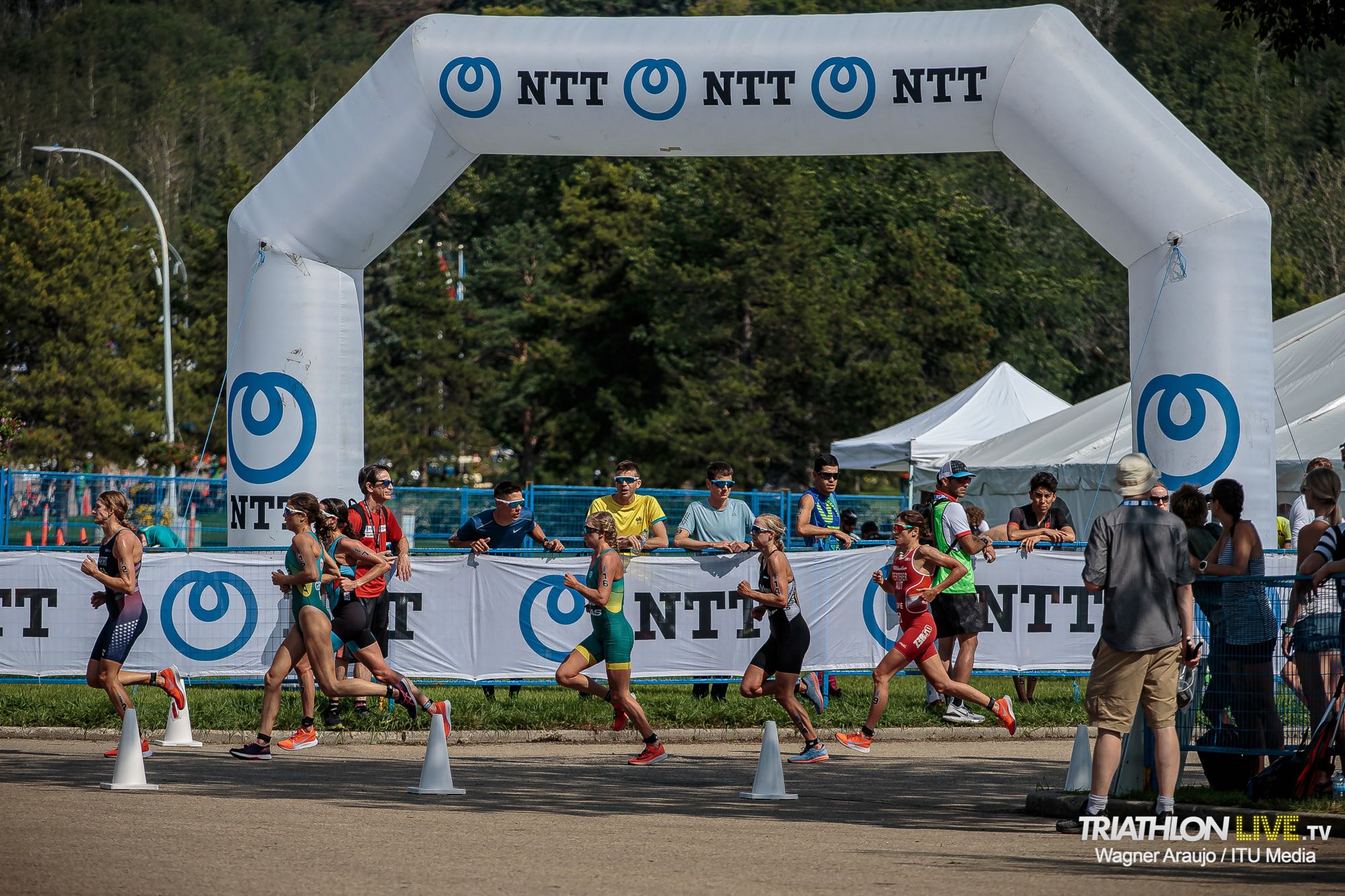 2019wtsedmonton162623__wag8310