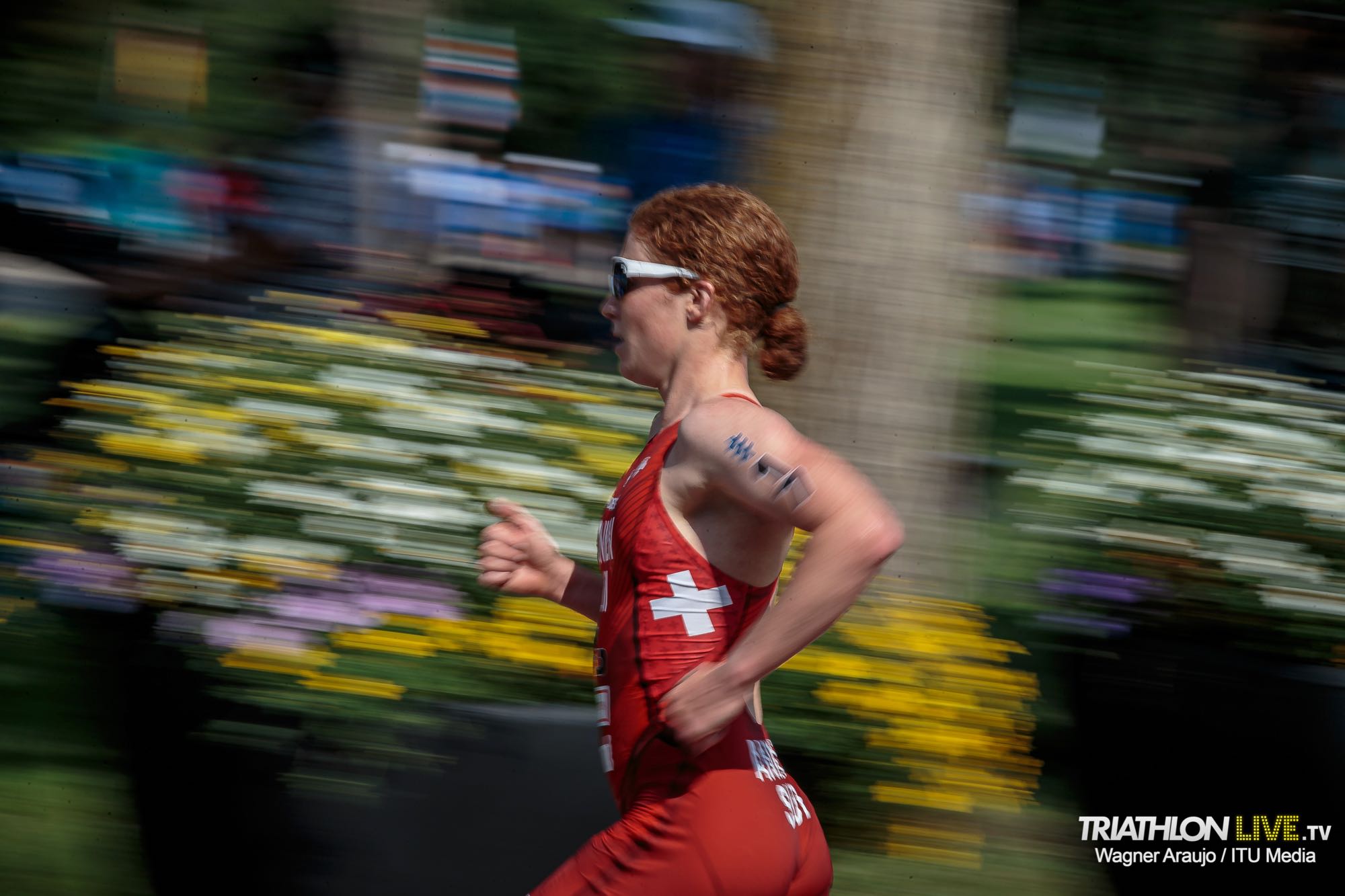 2019wtsedmonton163229__wag8504