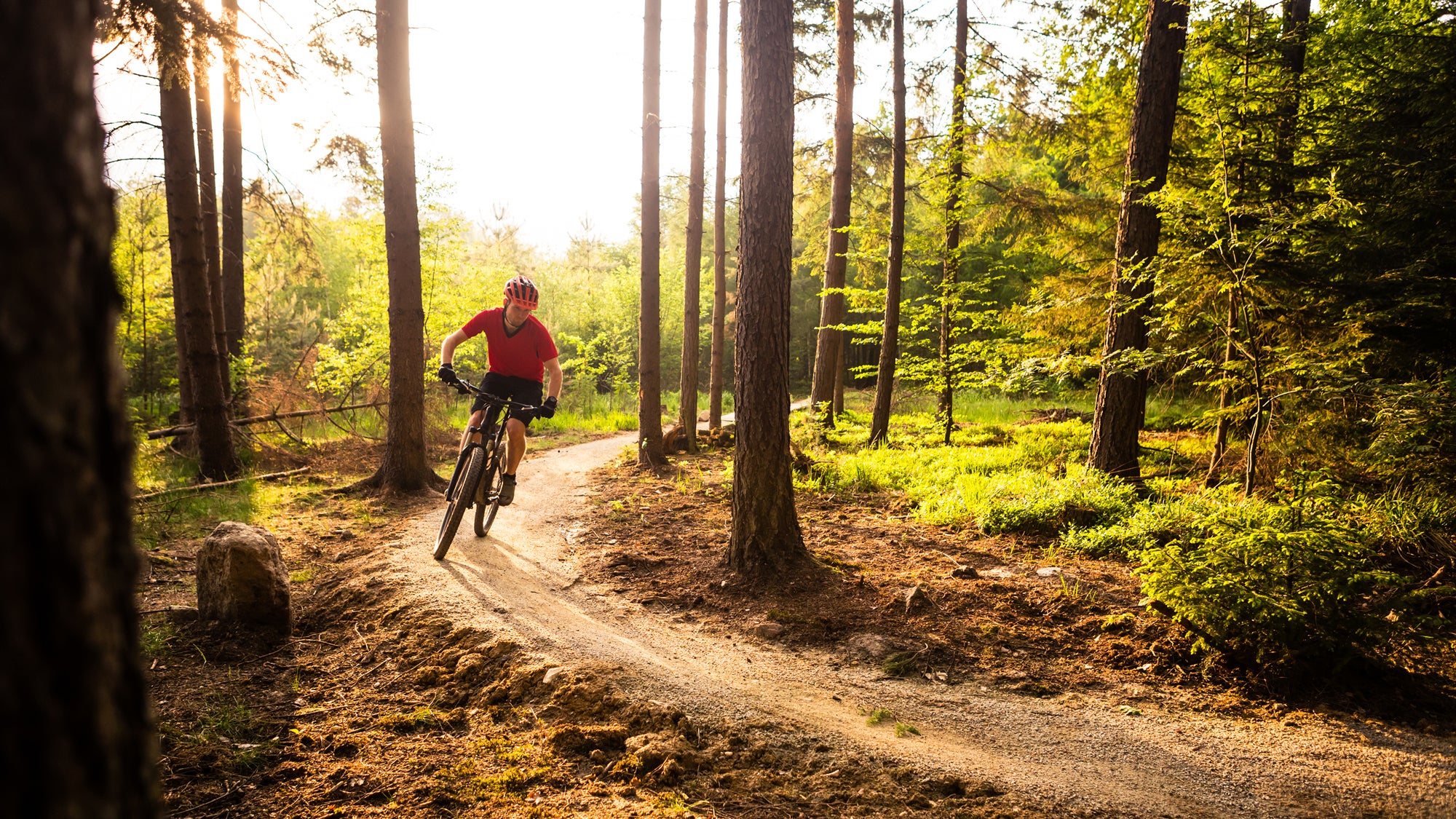 starting out mountain biking