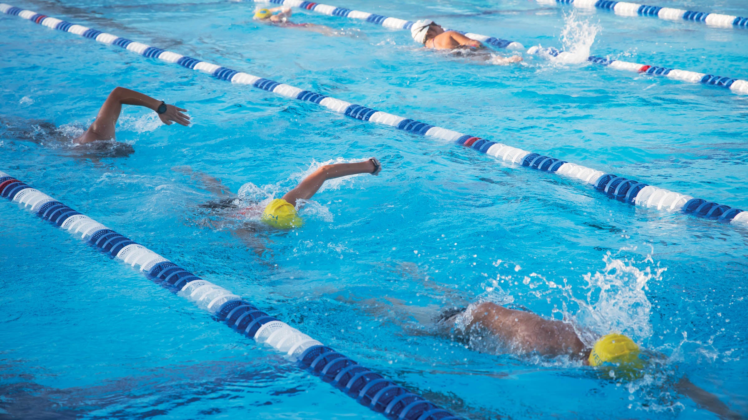 Swimmers in a pace line